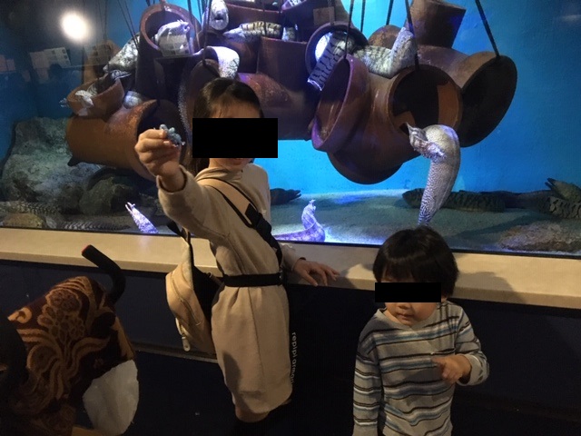 竹島水族館のうつぼ水槽の前で記念撮影する女の子と男の子