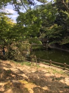 ひがし公園の池と橋